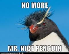 google penguin