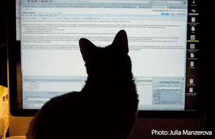 Cat reading, by Julie Manzerova