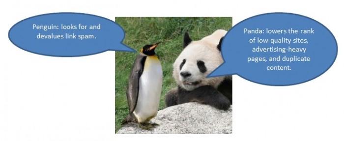 penguin and panda captioned 1