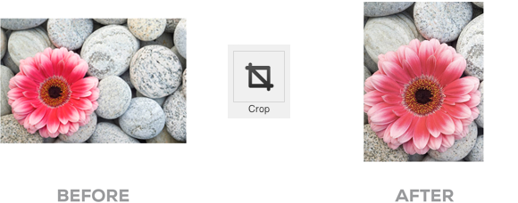 crop
