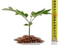 grow-small-business	|	Photo Courtesy of	Depositphotos.com	http://depositphotos.com/6026799/stock-photo-Concept-for-business-growth.html?sst=60&sqc=174&sqm=92895&sq=11i5ux