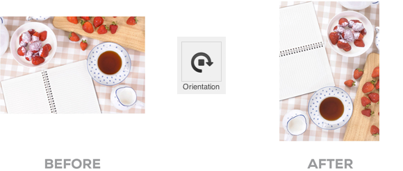 orientation