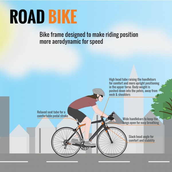 cycling road race bike infographic