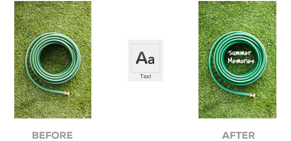 text