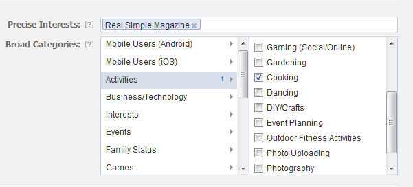 Facebook Ads Precise Interests and Broad Category