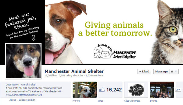 Manchester Animal Shelter Facebook