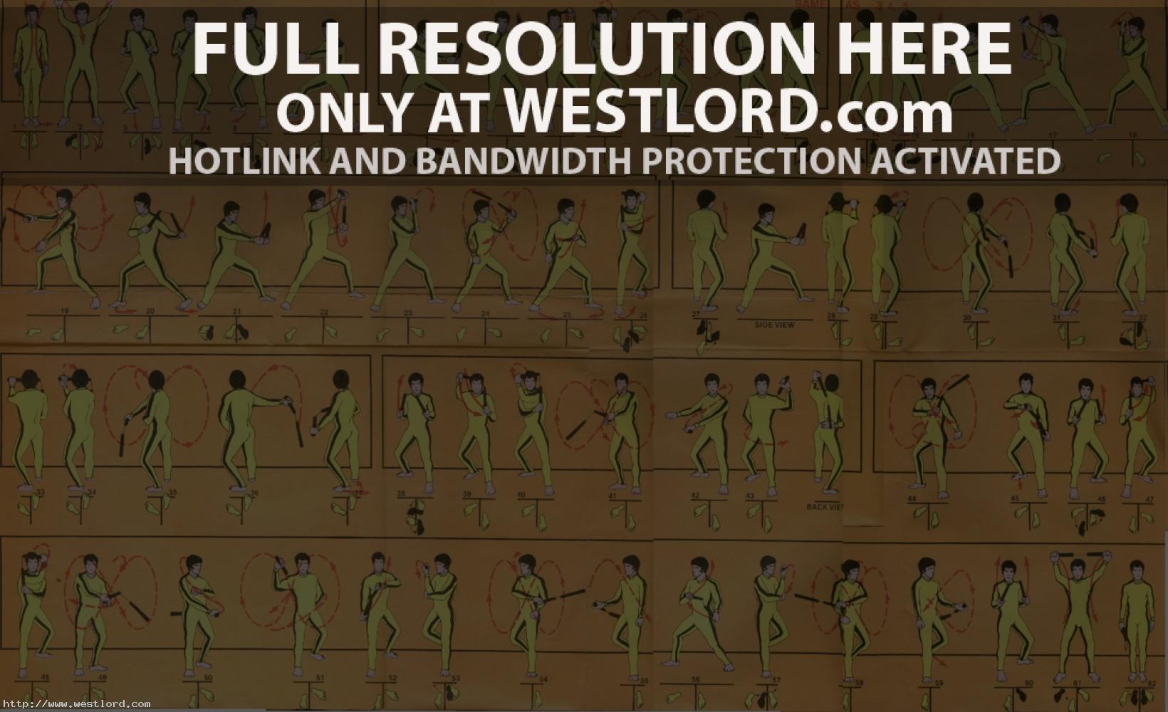 12 infographics about... Bruce Lee