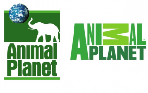 animal planet