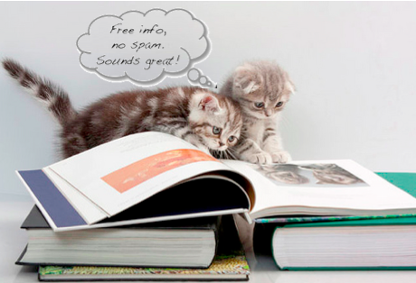  Image credit: Catunes/Flickr.com