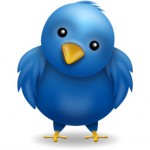 twitter bird