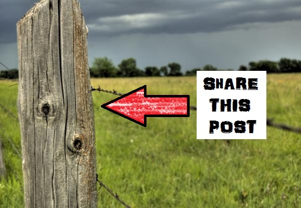 How To Get People to Share Your Posts