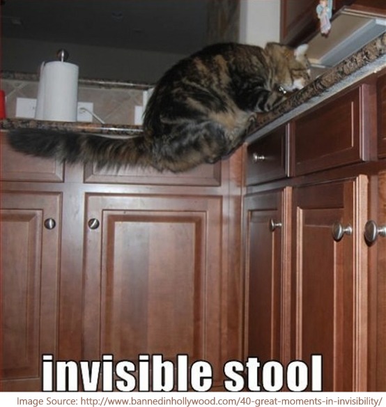 Invisiible stool
