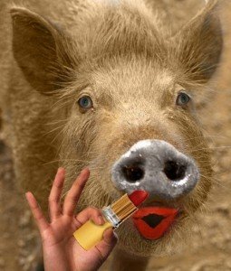 Reputation Management is Not Pig Lipstick - Business 2 Community