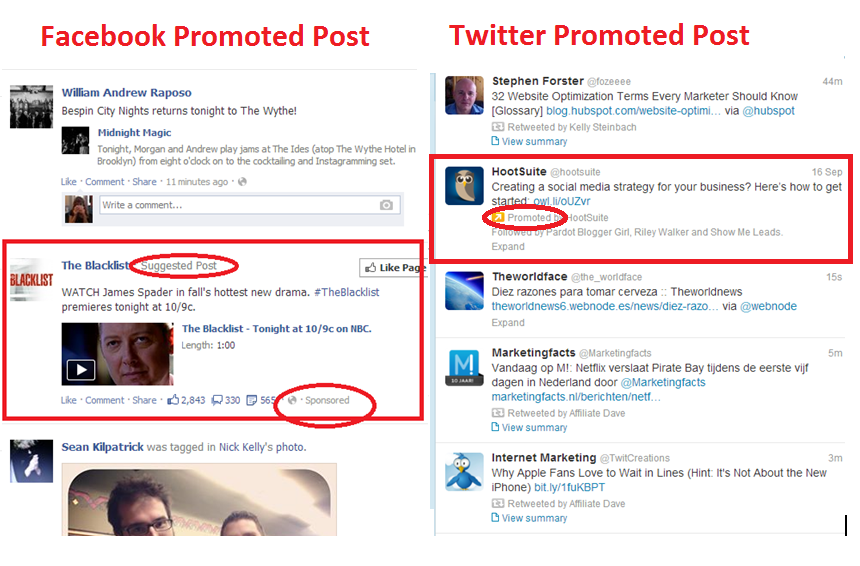Twitter and Facebook promoted posts
