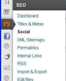 SEO for WordPress website