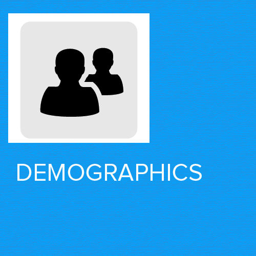 Social Media Stats: demographics
