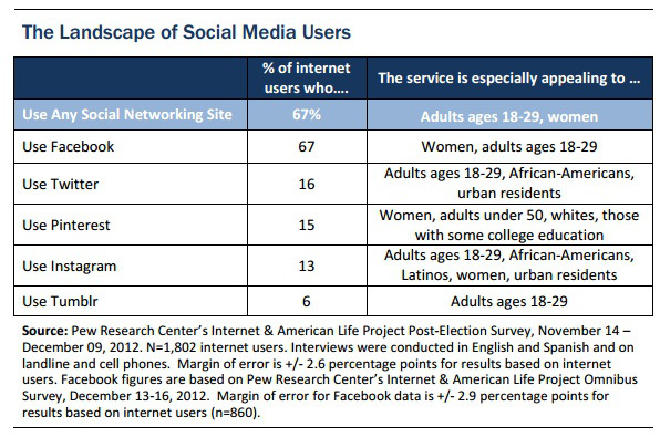 landscape-of-social-media-users