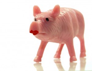 lipstick-on-pig