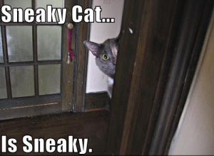 sneaky-cat 