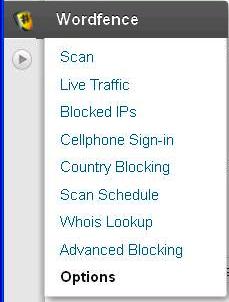 security for WordPress website
