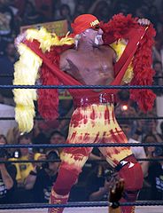 184px-Hulk_Hogan3