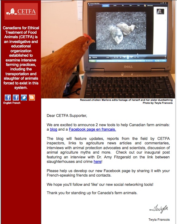 Social Email Invites are a Marketing Do