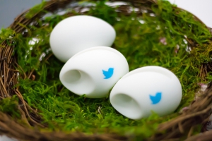 Twitter eggs
