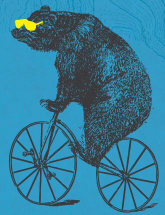 image-is-everything-bear-on-a-bike