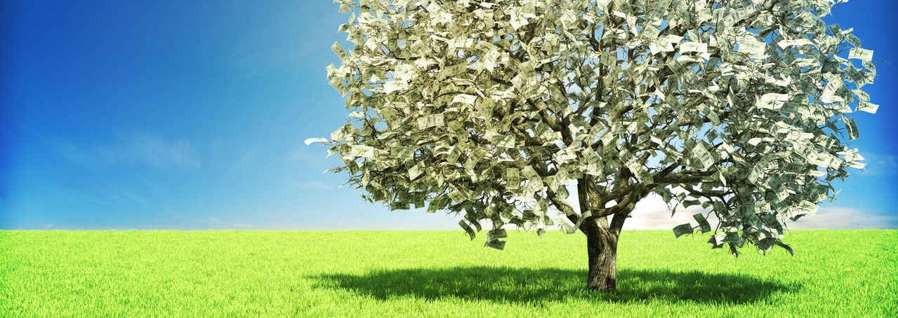 Easy Money Tree - Online Marketing