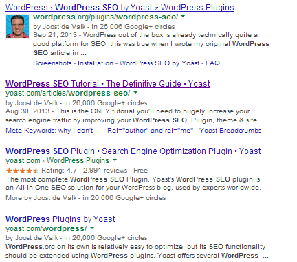 wordpress seo results