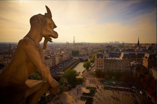 The top of Notre-Dame de Paris, Image by Moyan Brenn