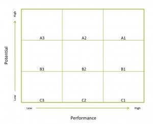 Nine Box Performance Management Diagram - Matt Hunt
