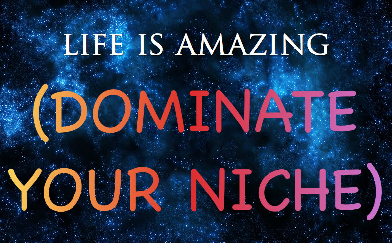 Tumblr Dominate Your Niche Space