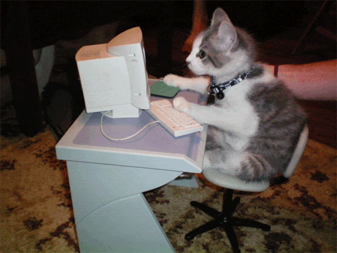 cattyping
