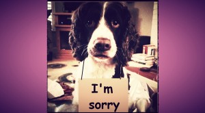 dog i'm sorry