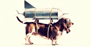 dog launch