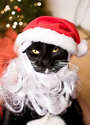 holiday email auto responders