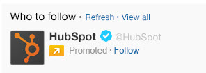 Twitter-promoted-account