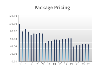 Package Pricing Volume Pricing – Per Unit Price