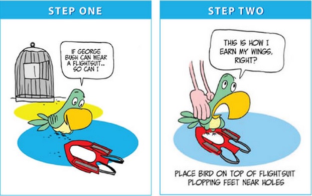 Bird Diaper Guide