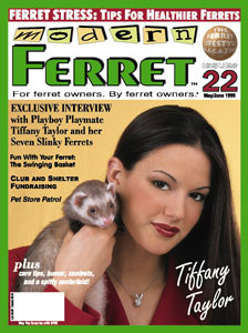 modern ferret magazine cover