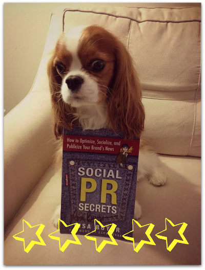 @RemyTheCavalier gave "Social PR Secrets" 5 stars!