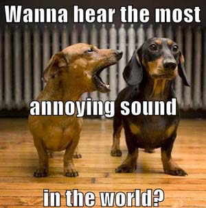 the-most-annoying-sound-in-the-world-funny-dog-photo