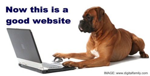 website dog