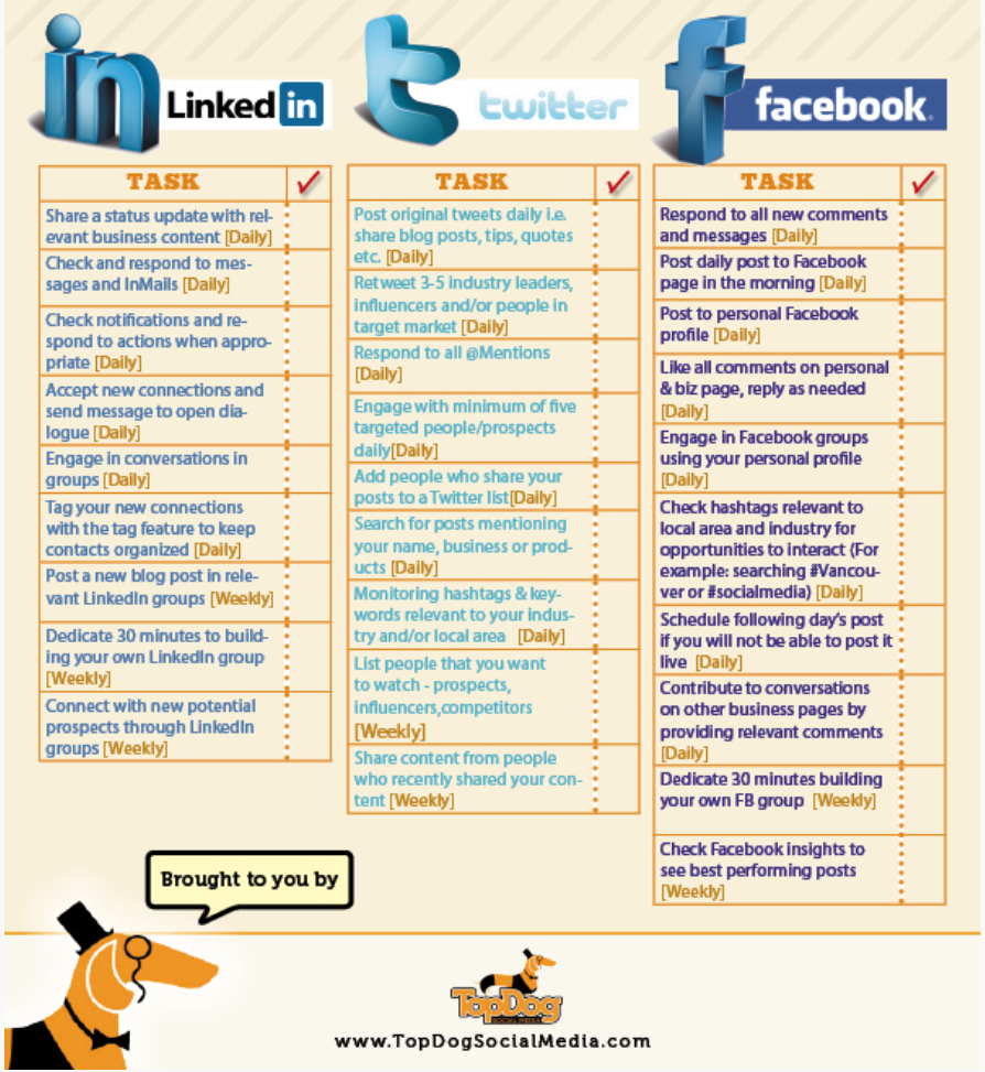 Social task. Your Daily Plan телефон номер.