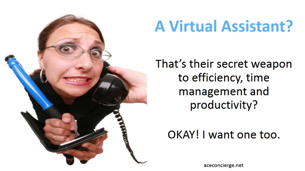 Ace Concierge Virtual Assistant