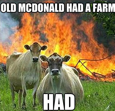funny-mad-cows-fire-meme