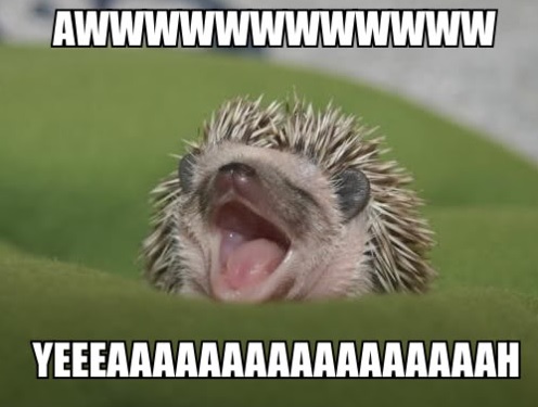 Aww yeah