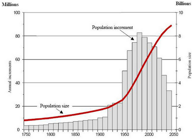 World population growth