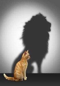 cat-lion_Mar14
